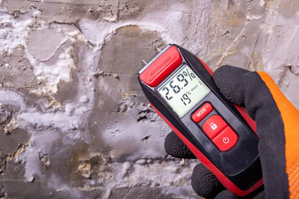 Best Toxic Mold Removal  in Pingree Grove, IL