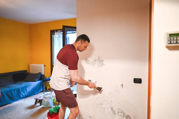 Best Affordable Mold Removal  in Pingree Grove, IL