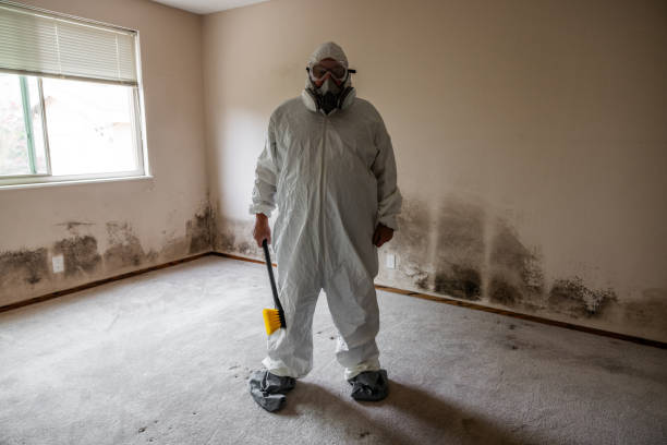 Best Professional Mold Removal  in Pingree Grove, IL